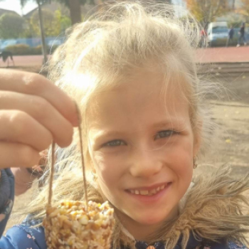 A madáretető téli vendégei