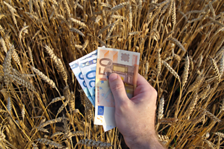 Másfél hónapig lehet milliárdos támogatásokat kérni