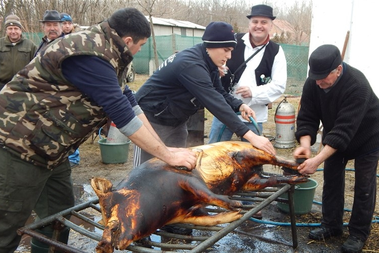 Hagyományőrző falusi disznóvágás Petőfiszálláson