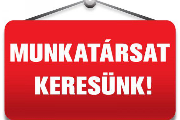 Pályázati felhívás