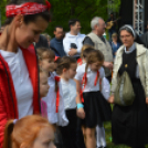 Majális a parkerdőben