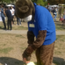 A Jogging Plus sportolói az V. Fuss az életekért Jótékonysági futáson Szegeden 