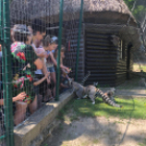 Gazdag programokkal várta a gyerekeket az öko-élménytábor