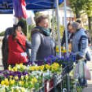 Őszi virágvásárt tartottak a városközpontban
