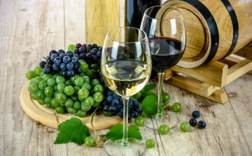 Szombaton lesz a legnagyobb hazai beltéri borkóstoló