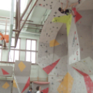 Magyar Hegy- és Sportmászó Szövetség Falmászó Versenyének Bajnoki Fordulója