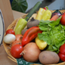 Az élelmiszer pazarlásra hívta fel a figyelmet a Mezgé