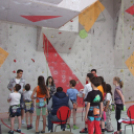 Magyar Hegy- és Sportmászó Szövetség Falmászó Versenyének Bajnoki Fordulója