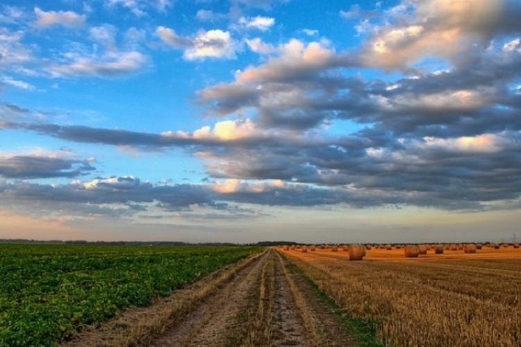 Nagyszabású földértékesítési programot indít az Agrárminisztérium