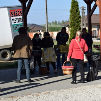 Nagy sikere volt az első piaci napnak