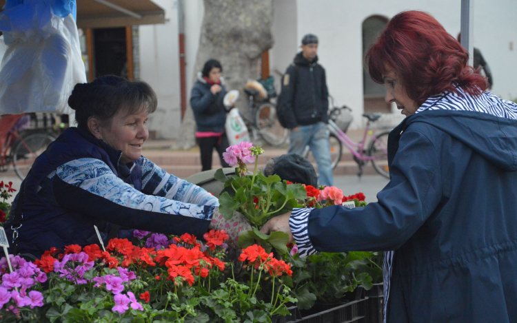 13. alkalommal rendezték meg Félegyházán a Tavaszi Virágünnepet