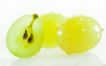 Hogyan kell a csemegeszőlőt tárolni?