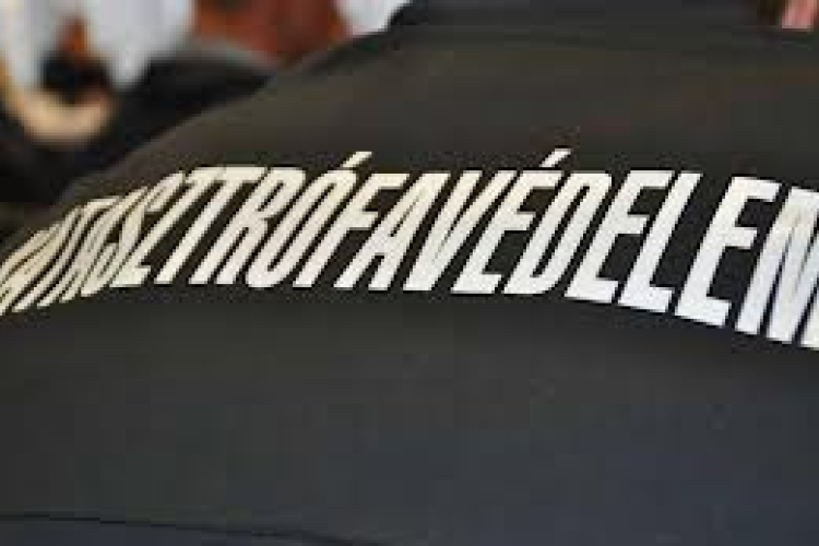 Két rakomány nélküli teherautó ütközött össze