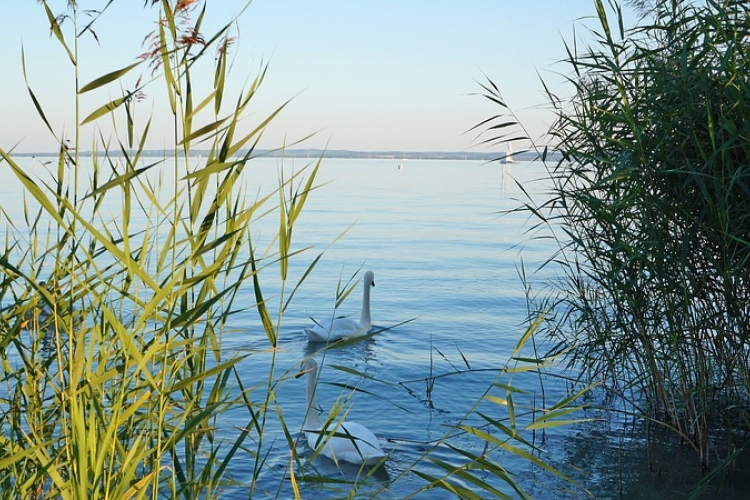 Jelentősen csökken 2100-ra a Balaton vízgyűjtő területén a vízkészlet