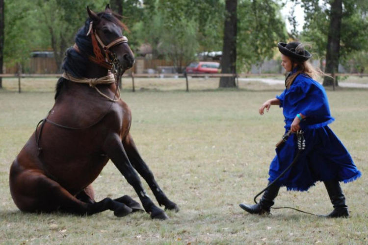 Először rendeztek csikós versenyt Pálmonostorán