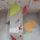 Magyar Hegy- és Sportmászó Szövetség Falmászó Versenyének Bajnoki Fordulója