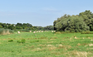 A látogatási szabályok betartásának fontosságára hívja fel a figyelmet a nemzetipark-igazgatóság