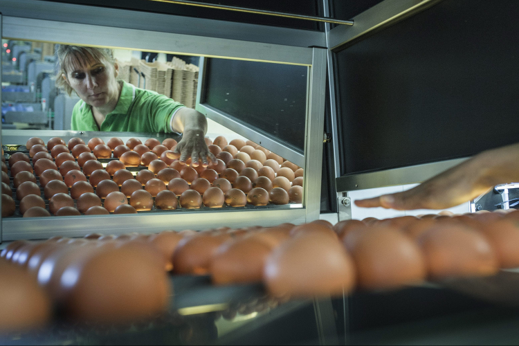 Februártól lehet pályázni élelmiszeripari támogatásokra 