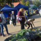 Őszi virágünnep Kiskunfélegyházán