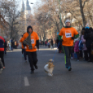 Rengetegen indultak az év utolsó futóversenyén