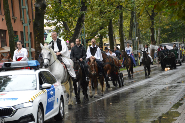 Nem számított az eső sem a szüreti felvonulóknak