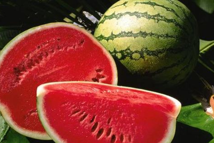 Elkezdődött a magyar dinnye népszerűsítése a Tesco áruházakban