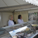 A város apraja-nagyja jól érezte magát a XXIII. Libafesztiválon