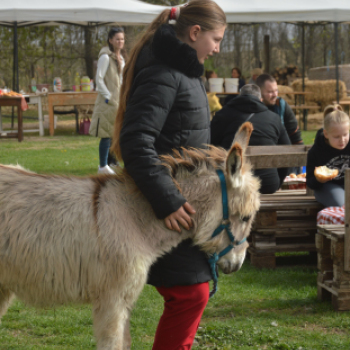 Tavaszköszöntő rendezvényt tartottak a Szérűskertben