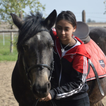 Pályaorientációs napot tartottak a Mezgében