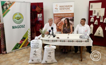 Elindult az idei Magyarok kenyere búzagyűjtés