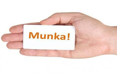 A Félegyházi Városfenntartó Nonprofit Kft. felvételt hirdet 