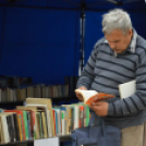 Káprázatos virágözön ékesítette Kiskunfélegyháza főterét