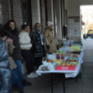 Közel másfél millió forint gyűlt össze Izabella és Lilla gyógykezelésére