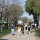 MEZGÉS Nap – 2022.04.21.