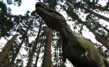Dinoszauruszokat költöztetnek a veszprémi állatkertbe