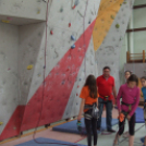 Magyar Hegy- és Sportmászó Szövetség Falmászó Versenyének Bajnoki Fordulója