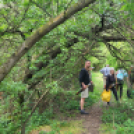 Koppányok áprilisa a hagyomány, a kultúra és a sport körül