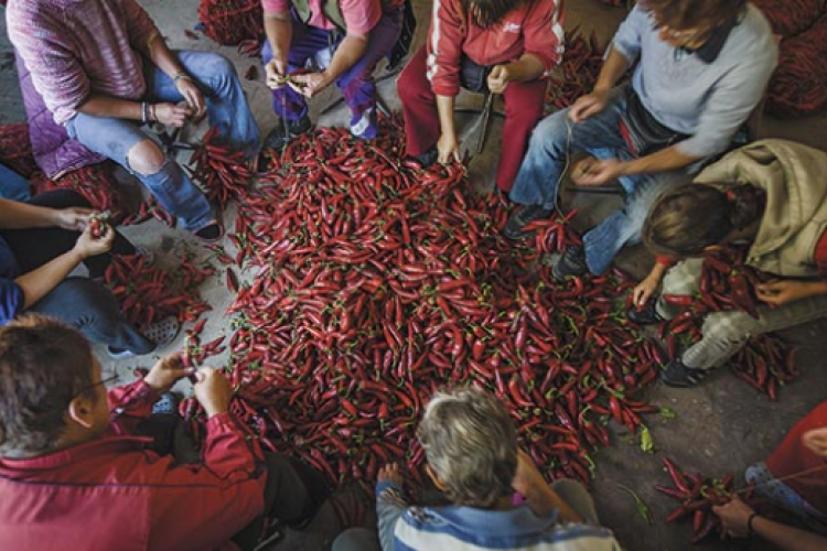 Nagyon szép múltú, ám veszélyeztetett jövőjű hungarikum