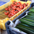 Nagy sikere volt az első piaci napnak