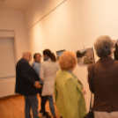 Testvérvárosunk, Feltre gyöngyszemei fotókon