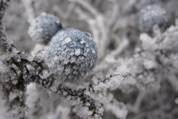 Novemberben is van mit gyűjteni