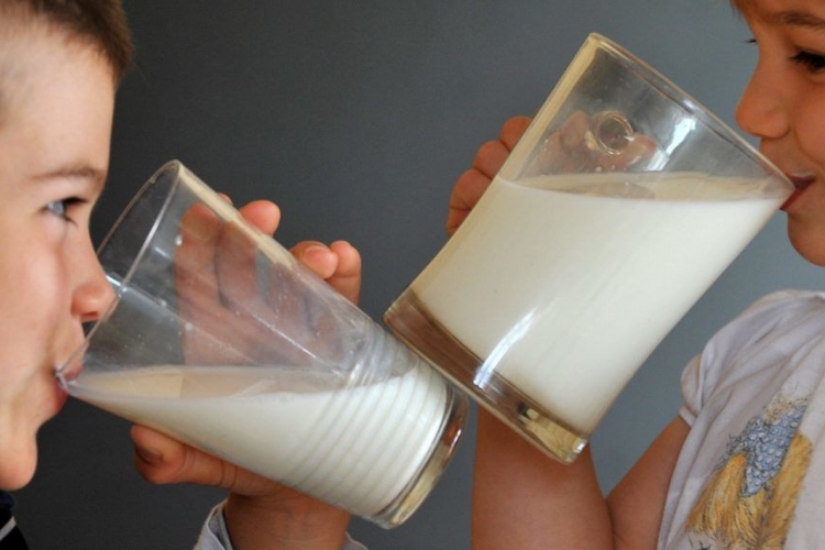 Hamarosan indulhat a Szentkúti tejtermékek próbagyártása