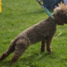 Tavaszköszöntő rendezvényt tartottak a Szérűskertben