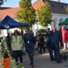 Őszi virágvásárt tartottak a városközpontban