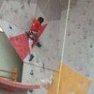 Magyar Hegy- és Sportmászó Szövetség Falmászó Versenyének Bajnoki Fordulója