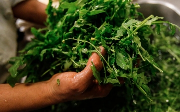 Fogyókúrázók figyelem: a saláta is hízlalhat