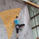 Magyar Hegy- és Sportmászó Szövetség Falmászó Versenyének Bajnoki Fordulója