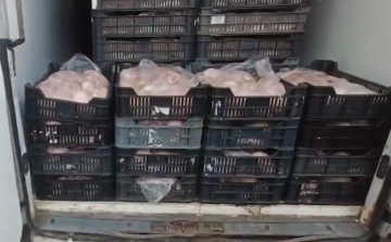Több mint két tonna romlott húst találtak egy kisteherautóban az M5-ösön