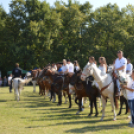 Végre jó idő a nyeregszemlére