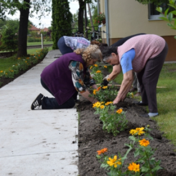 Fél éve kezdte meg működését a Szentkúti Nappali Klub